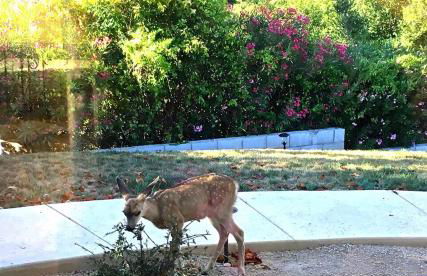 A Villa with extraordinary views - Foto 18