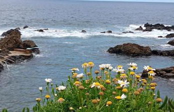 La casa de Don Juan - Foto 28