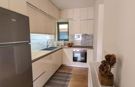 Traditional Lazarata House - Photo 13