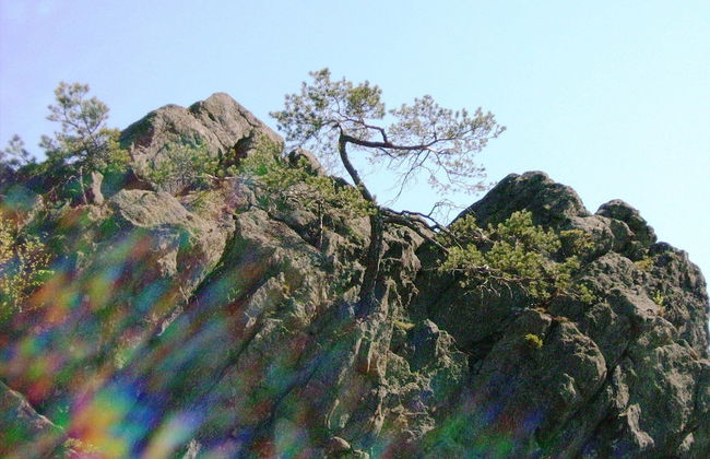 Schones Ferienhaus mit Grossem Garten bei Stadlern - Foto 42