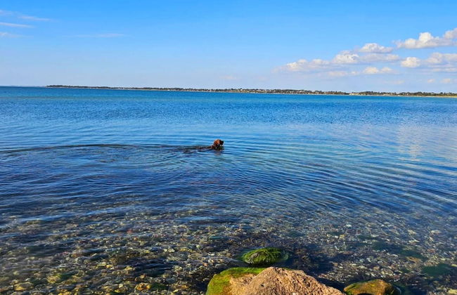 6 Person Holiday Home in Korsor - Photo 39