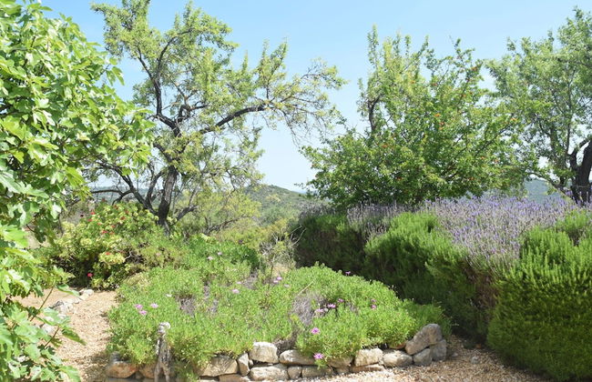 Delightful, Authentic Quinta with Swimming Pool near Beach & Towns - Photo 31