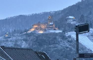 Panoramaapartment Wine & Castle - Foto 51