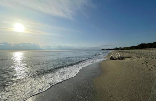 T2 VUE MER MARINA DI BRAVONE N197 - Foto 10