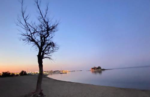 L'Ancora & il Timone - Foto 30