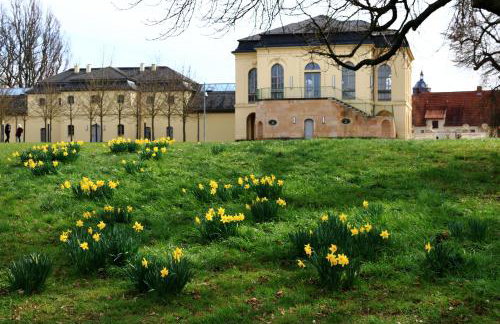 Altstadtblick Altenburg - Foto 50
