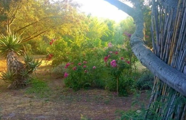 Casa Orsoni - Foto 80