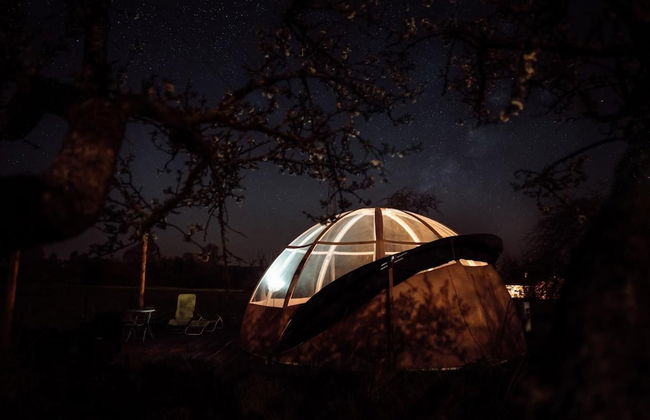 Les Nuits Insolites de Madine - Foto 35