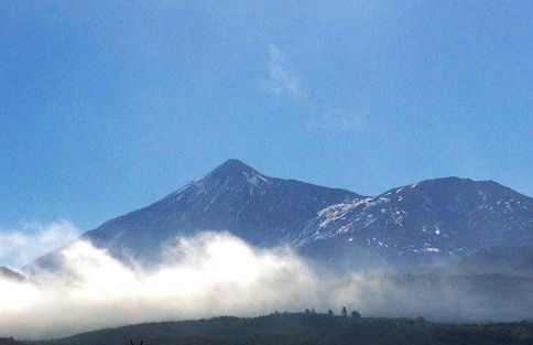 Ocean Park II - Foto 32