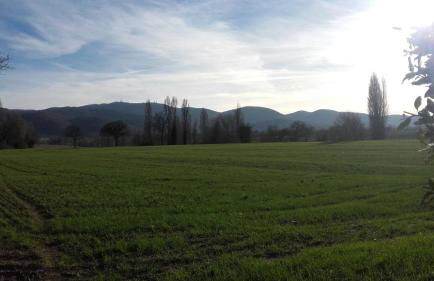 Agriturismo Il Mulino del Vescovo - Foto 21