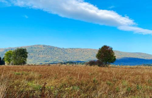 Przewietrzona Głowa - Foto 15