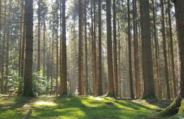 Gîte n°4, en pleine nature, frontalier - Foto 29