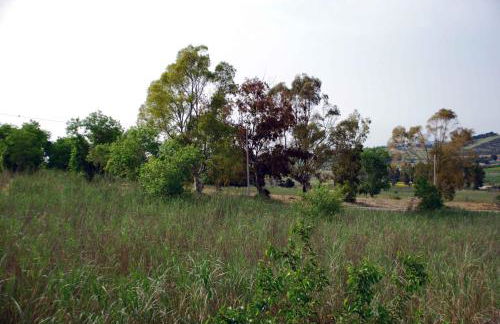 Villa Cipollazzo - Foto 17