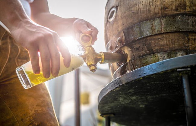 Tour privado de degustación de cerveza alemana en el casco antiguo de Frankfurt - Foto 6