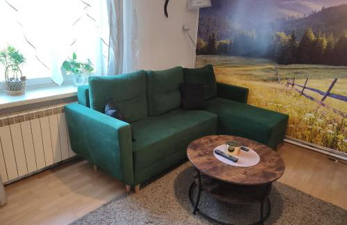 Apartament Wrzos Bieszczady - Foto 2