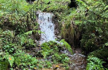 Erzgebirgsglück Jöhstadt EG - Foto 19