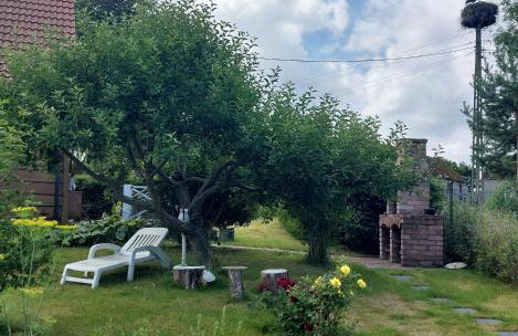 Ferienhaus Storchenwiese, Wald, Strand, Natur - Foto 18