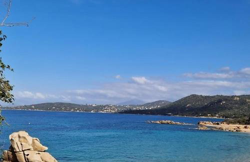 Les Terrasses de la Pinède - Appt climatisé - Photo 15
