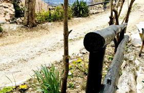 Maison sur la Route du Mont Ventoux - Photo 31