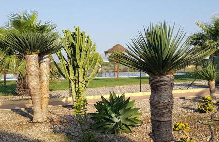 Apartments Sol de Almeria Golf y Playa - Foto 10