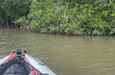 COP30 - Belém - Refúgio perfeito em Benfica-Pará - Photo 4