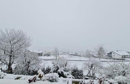 Ferienhaus Ruhe Oase im Bayerischen Wald - Foto 38