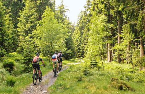 HIRSCH Hänsel Ferienhaus Garten mit Bergblick - Grill -Wald - Foto 34