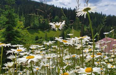 Naturhaus am Wald im Erzgebirge - Foto 2