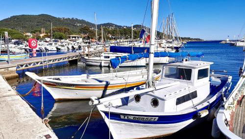 Bord de mer aux Pins Penchés - Foto 4