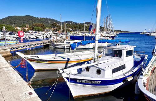 Bord de mer aux Pins Penchés - Foto 4