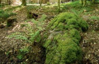 Jagdhaus am Bach - Foto 13