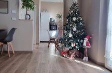 Alemanni54 - Apartment - Photo 46