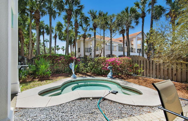 Blue Turtle Dreams - Foto 26