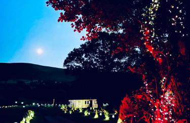 CAYORETREAT STATIC CARAVAN - Photo 10