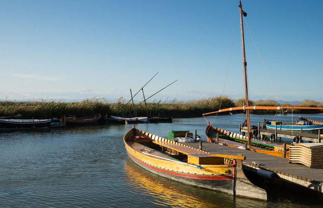 Albufera Natural Park Boat Ride - Photo 2