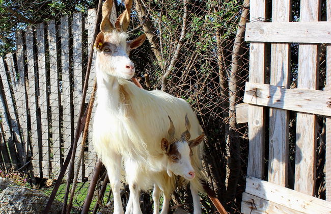 Agriturismo La Casa di Bacco - Foto 39