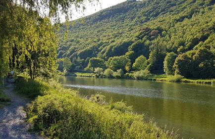 Le Balcon sur la Meuse - Foto 18