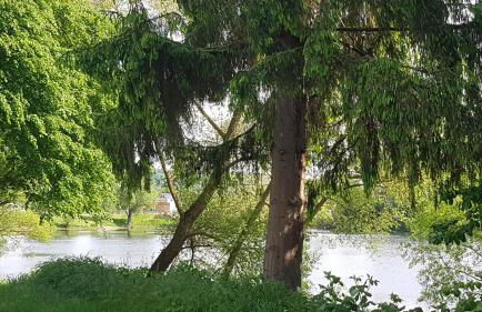 Ferienwohnung Lebensfreude Höxter im Weserbergland - Foto 48