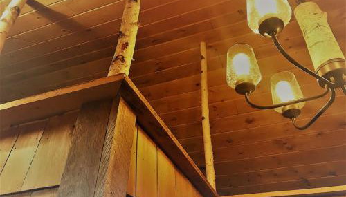 The Birches Cabin, at home in the woods! - Foto 3