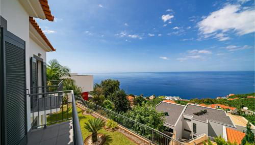 OurMadeira - Amaro Sol - Foto 2, Other