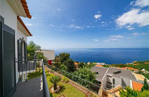 OurMadeira - Amaro Sol - Foto 2