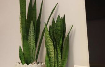 2 Apartament Miętowy Rumianek - Foto 18