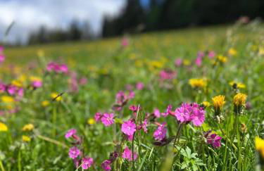 Traumurlaub in Sicht! 77qm Familiendomizil - Foto 28