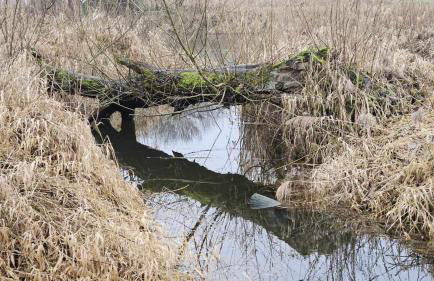 Dom za wydmą - Foto 59