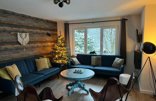 Platell Ferienhäuser Harz Lonau - Foto 3