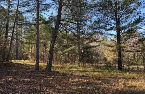 Waterfalls Canyon 41.5 Acres W Miles of Trails - Foto 9