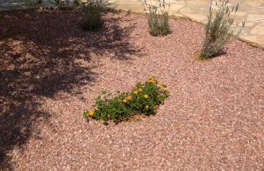 Aggeliki House 5 - Photo 22