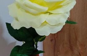 Apartman Katarina - Foto 24