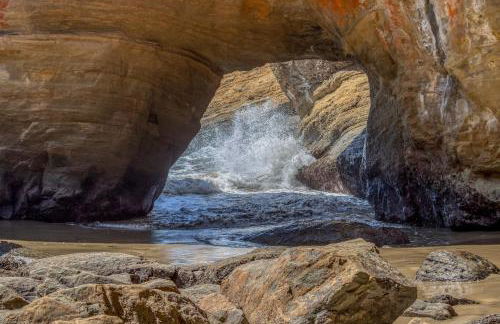 Coastal Garden - Anchor Pier Lodge - Photo 1