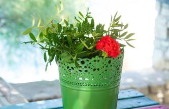 Ikarian Endless Blue - Foto 77